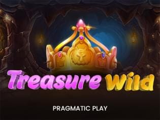 Treasure Wild game icon